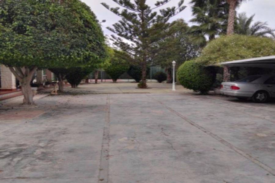 Elche,Alicante,España,5 Bedrooms Bedrooms,3 BathroomsBathrooms,Fincas-Villas,3706