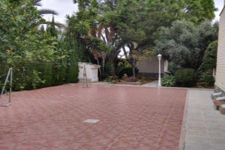 Elche,Alicante,España,5 Bedrooms Bedrooms,3 BathroomsBathrooms,Fincas-Villas,3706