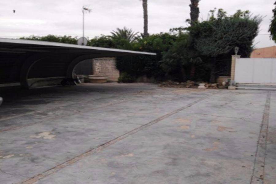 Elche,Alicante,España,5 Bedrooms Bedrooms,3 BathroomsBathrooms,Fincas-Villas,3706