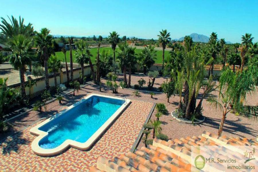Catral,Alicante,España,3 Bedrooms Bedrooms,2 BathroomsBathrooms,Fincas-Villas,3708