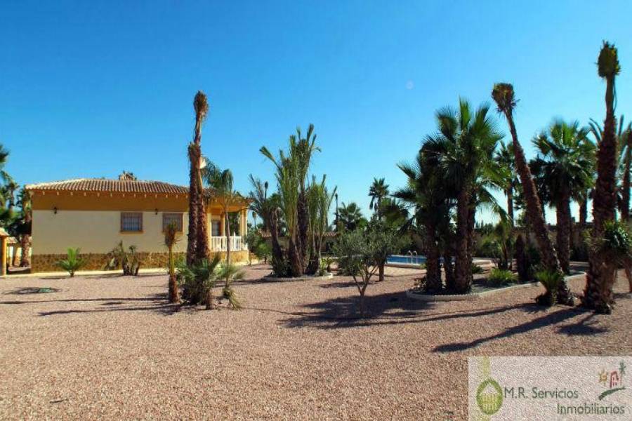 Catral,Alicante,España,3 Bedrooms Bedrooms,2 BathroomsBathrooms,Fincas-Villas,3708