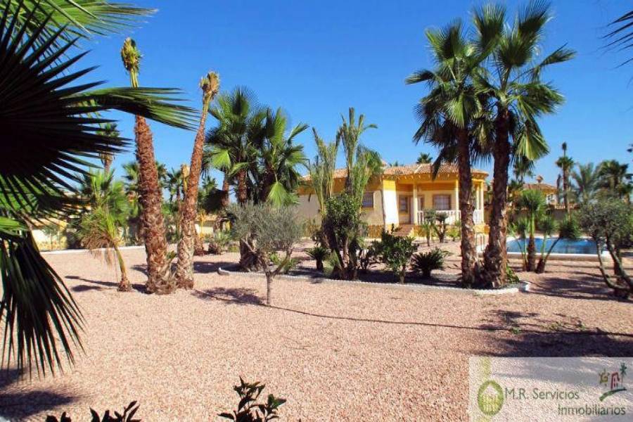 Catral,Alicante,España,3 Bedrooms Bedrooms,2 BathroomsBathrooms,Fincas-Villas,3708