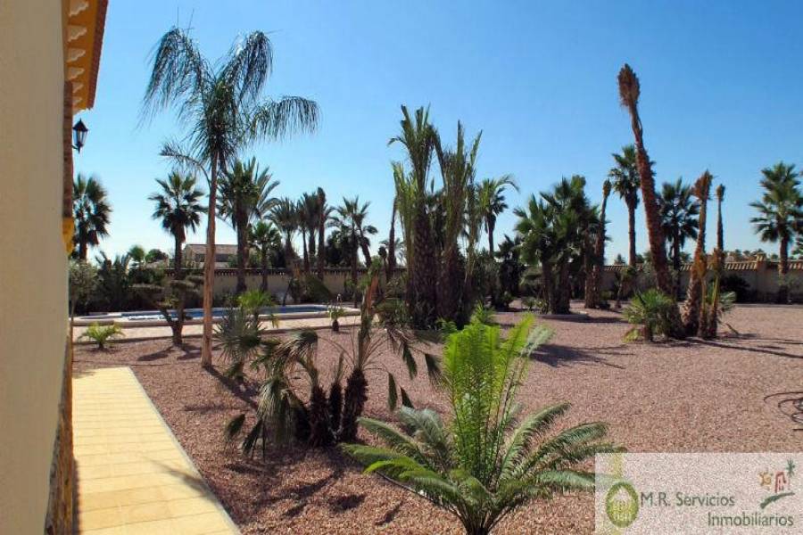 Catral,Alicante,España,3 Bedrooms Bedrooms,2 BathroomsBathrooms,Fincas-Villas,3708