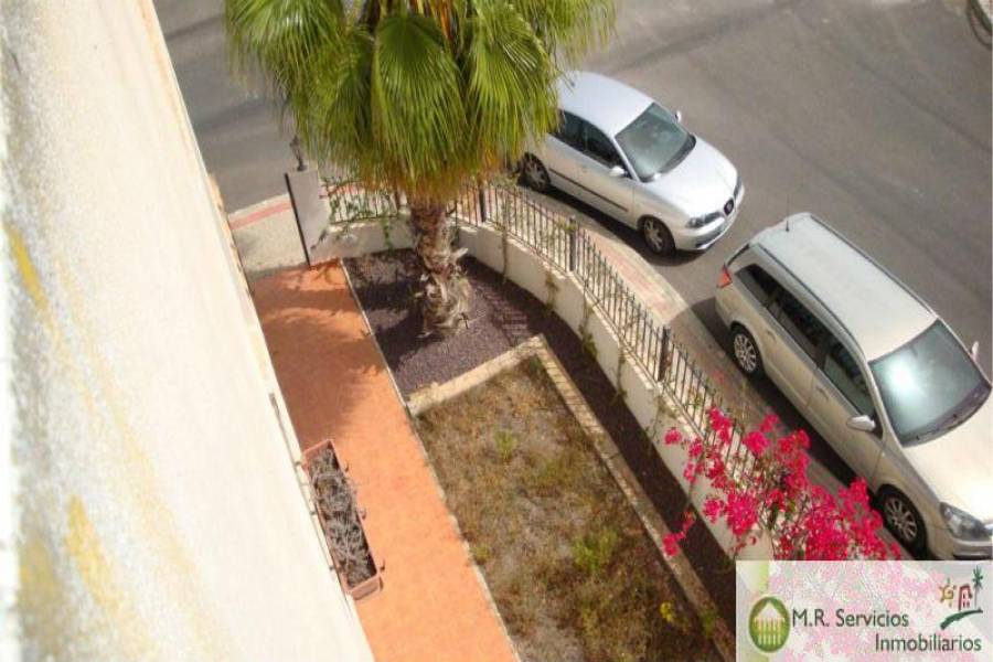 Algorfa,Alicante,España,3 Bedrooms Bedrooms,2 BathroomsBathrooms,Fincas-Villas,3717