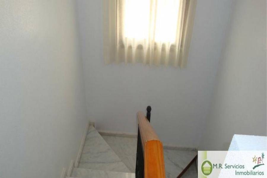 Algorfa,Alicante,España,3 Bedrooms Bedrooms,2 BathroomsBathrooms,Fincas-Villas,3717