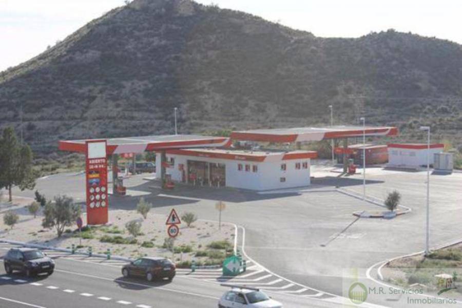 Alicante,Alicante,España,Fdo de Comercio-Negocio,3729