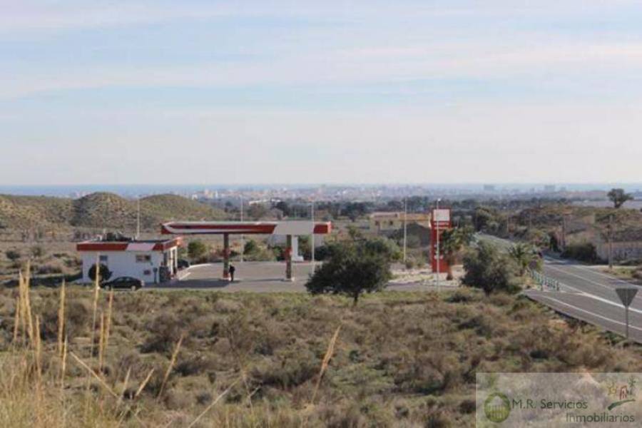 Alicante,Alicante,España,Fdo de Comercio-Negocio,3729