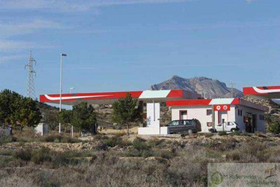 Alicante,Alicante,España,Fdo de Comercio-Negocio,3729
