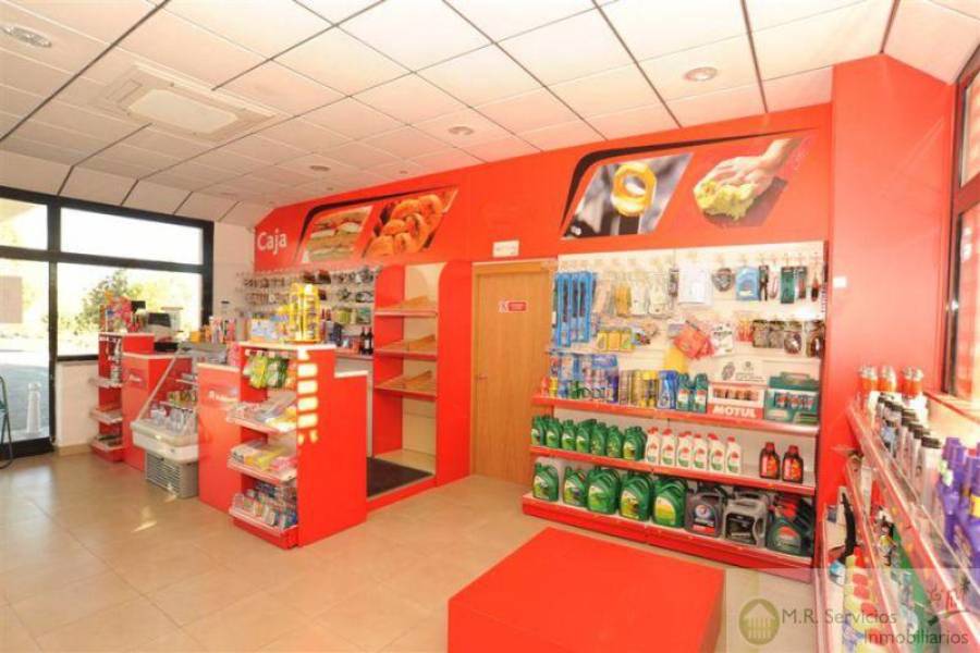 Alicante,Alicante,España,Fdo de Comercio-Negocio,3729