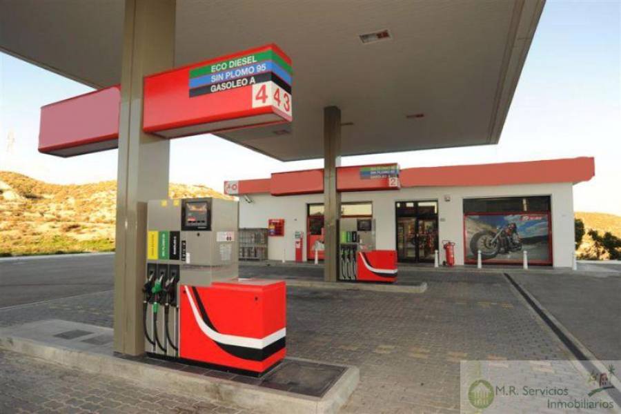 Alicante,Alicante,España,Fdo de Comercio-Negocio,3729