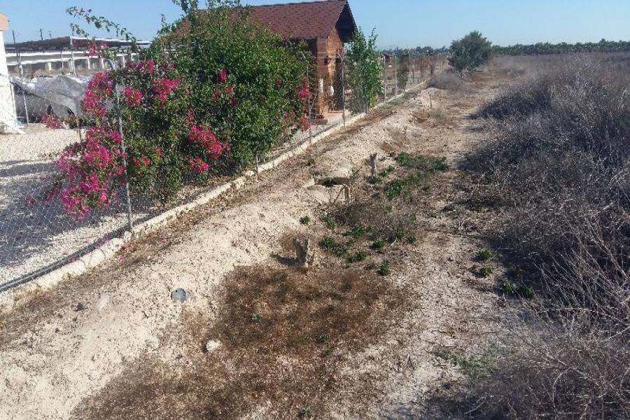 Crevillent,Alicante,España,3 Bedrooms Bedrooms,2 BathroomsBathrooms,Fincas-Villas,3732