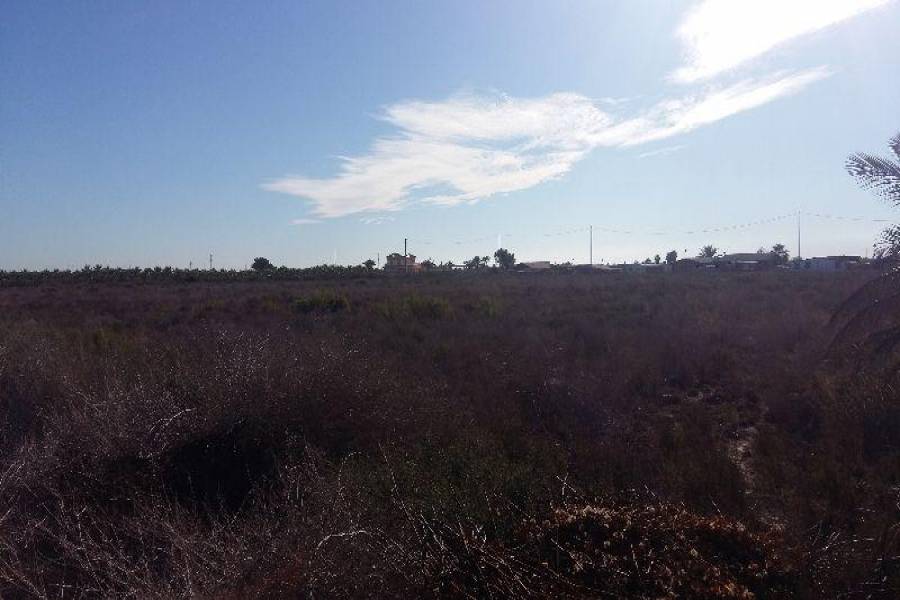 Crevillent,Alicante,España,3 Bedrooms Bedrooms,2 BathroomsBathrooms,Fincas-Villas,3732