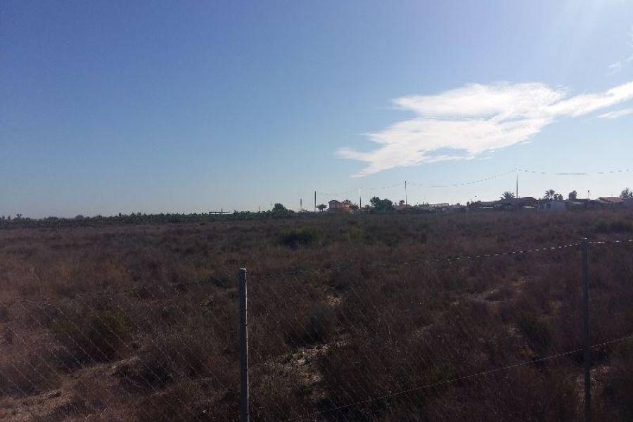 Crevillent,Alicante,España,3 Bedrooms Bedrooms,2 BathroomsBathrooms,Fincas-Villas,3732