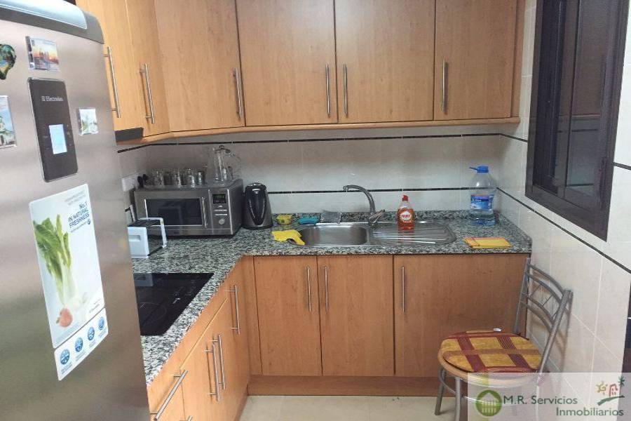 Rojales,Alicante,España,2 Bedrooms Bedrooms,1 BañoBathrooms,Fincas-Villas,3738