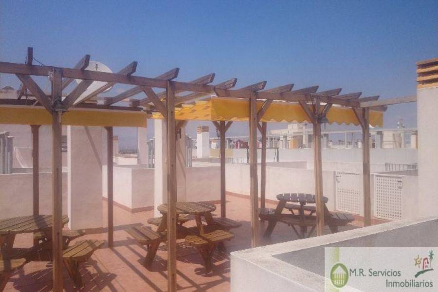 Almoradí,Alicante,España,2 Bedrooms Bedrooms,2 BathroomsBathrooms,Apartamentos,3739