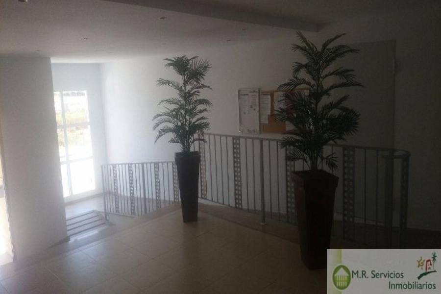 Almoradí,Alicante,España,2 Bedrooms Bedrooms,2 BathroomsBathrooms,Apartamentos,3739