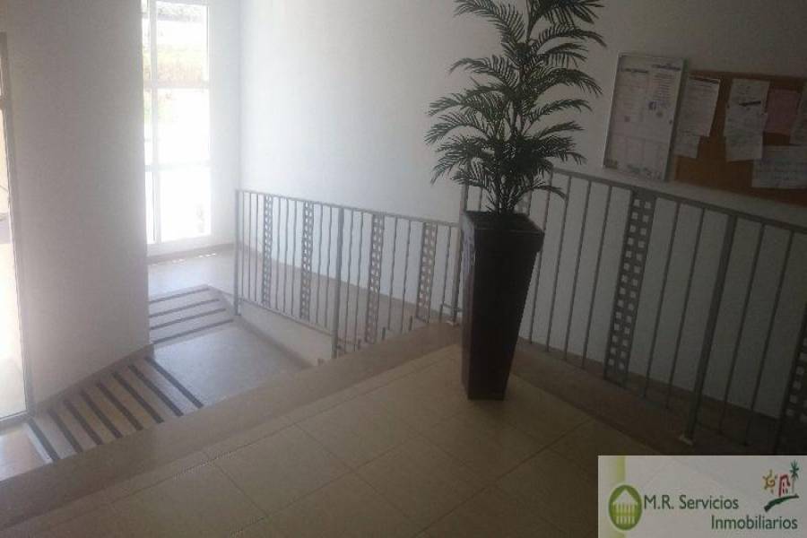 Almoradí,Alicante,España,2 Bedrooms Bedrooms,2 BathroomsBathrooms,Apartamentos,3739