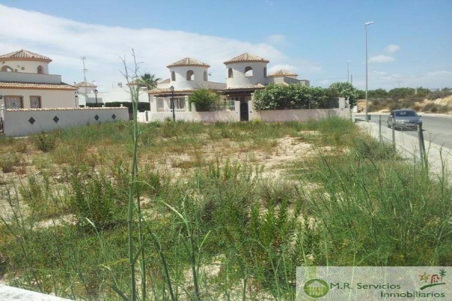 Guardamar del Segura,Alicante,España,Lotes-Terrenos,3753