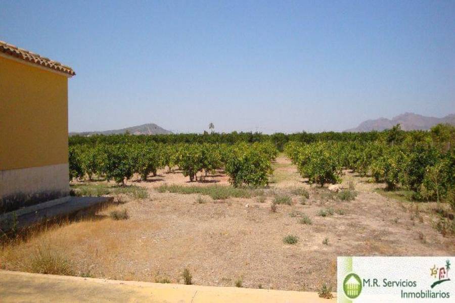 Orihuela,Alicante,España,2 Bedrooms Bedrooms,1 BañoBathrooms,Fincas-Villas,3767