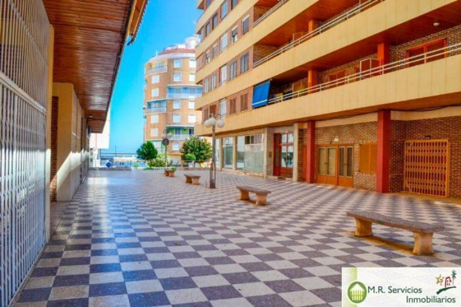 Torrevieja,Alicante,España,3 Bedrooms Bedrooms,2 BathroomsBathrooms,Bauleras,3772