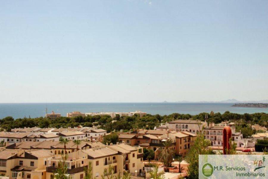 Orihuela,Alicante,España,3 Bedrooms Bedrooms,3 BathroomsBathrooms,Bauleras,3776