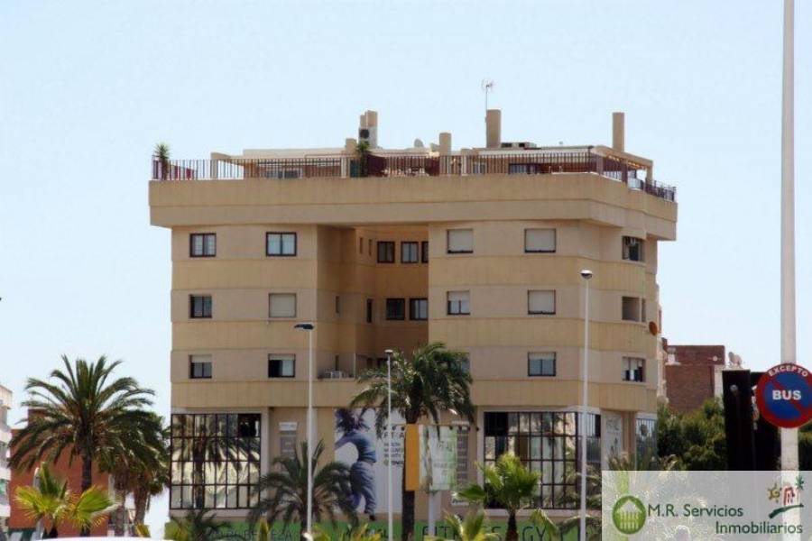 Orihuela,Alicante,España,3 Bedrooms Bedrooms,3 BathroomsBathrooms,Bauleras,3776