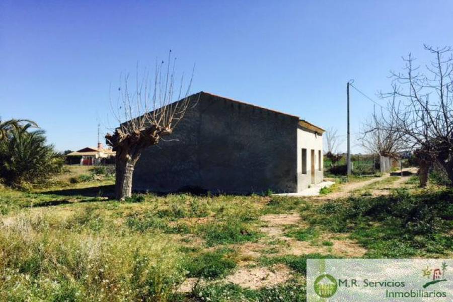 Almoradí,Alicante,España,3 Bedrooms Bedrooms,1 BañoBathrooms,Fincas-Villas,3779