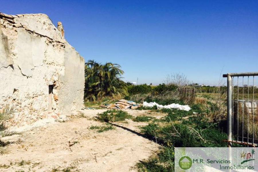 Almoradí,Alicante,España,3 Bedrooms Bedrooms,1 BañoBathrooms,Fincas-Villas,3779