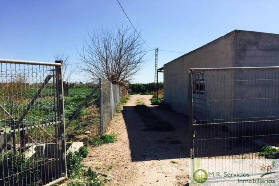 Almoradí,Alicante,España,3 Bedrooms Bedrooms,1 BañoBathrooms,Fincas-Villas,3779