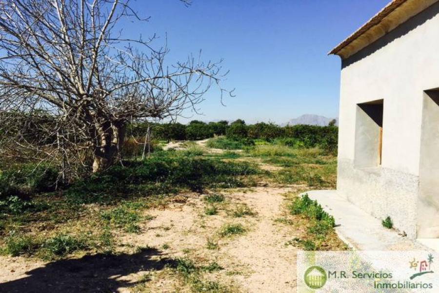 Almoradí,Alicante,España,3 Bedrooms Bedrooms,1 BañoBathrooms,Fincas-Villas,3779