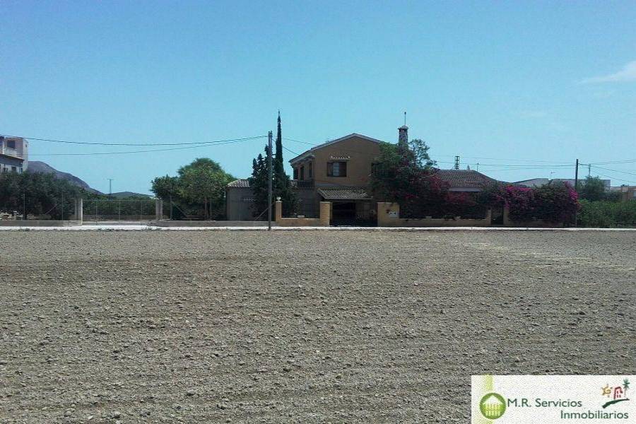 Orihuela,Alicante,España,4 Bedrooms Bedrooms,3 BathroomsBathrooms,Fincas-Villas,3803