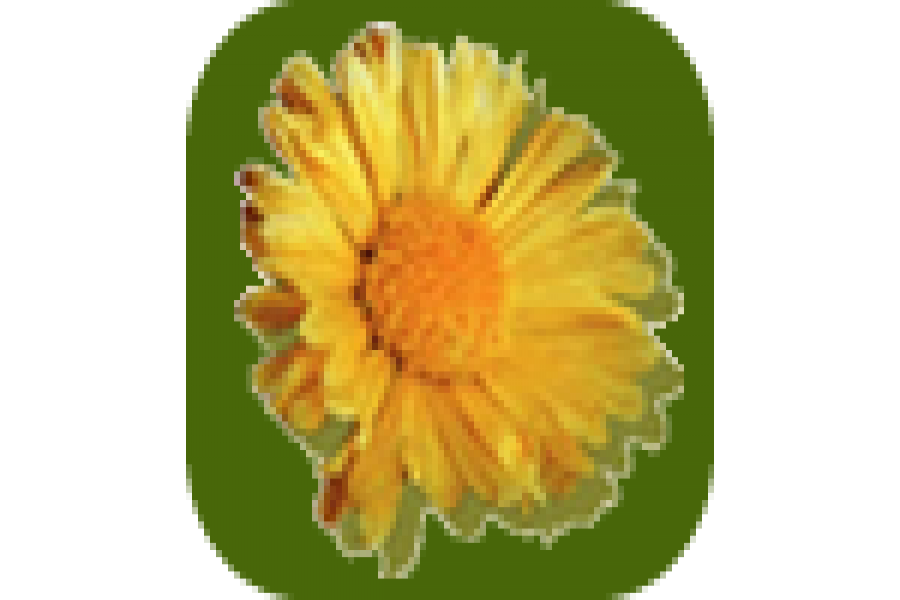 La Pampa,Campos,1296