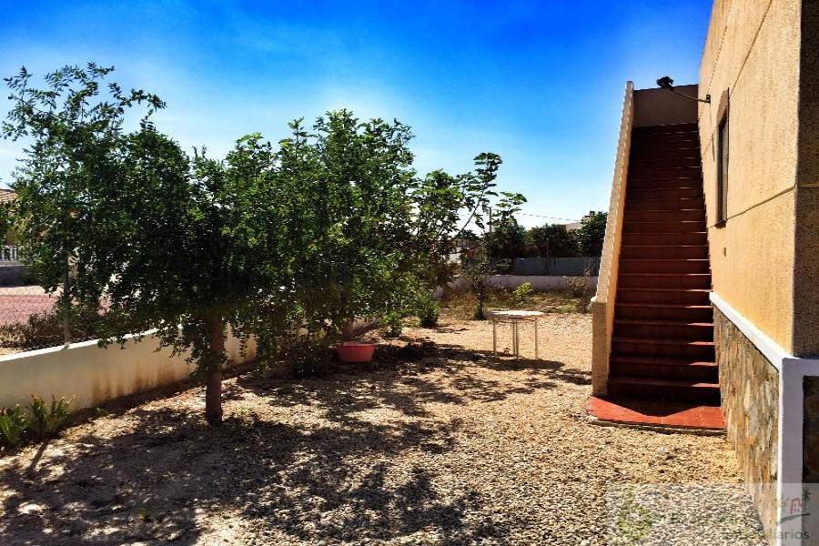Catral,Alicante,España,3 Bedrooms Bedrooms,2 BathroomsBathrooms,Fincas-Villas,3811
