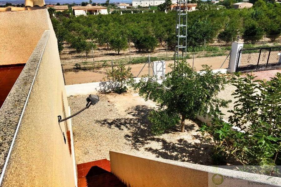Catral,Alicante,España,3 Bedrooms Bedrooms,2 BathroomsBathrooms,Fincas-Villas,3811