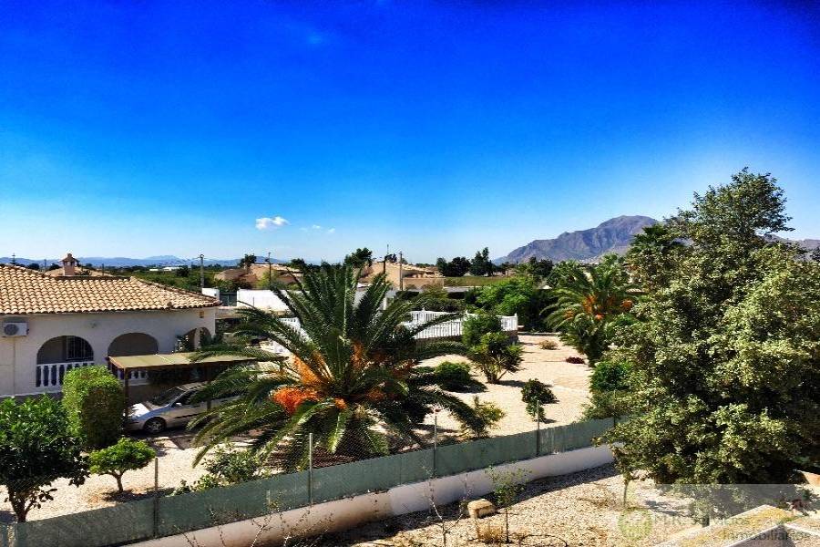 Catral,Alicante,España,3 Bedrooms Bedrooms,2 BathroomsBathrooms,Fincas-Villas,3811