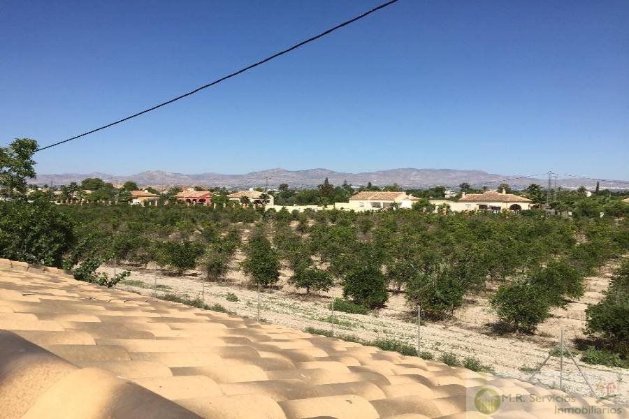 Catral,Alicante,España,3 Bedrooms Bedrooms,2 BathroomsBathrooms,Fincas-Villas,3811