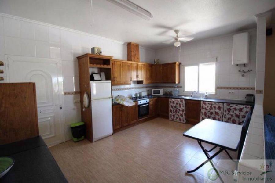 Albatera,Alicante,España,4 Bedrooms Bedrooms,2 BathroomsBathrooms,Finca rustica,3821