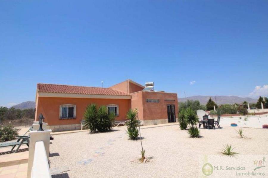 Albatera,Alicante,España,4 Bedrooms Bedrooms,2 BathroomsBathrooms,Finca rustica,3821