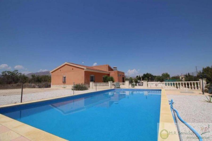 Albatera,Alicante,España,4 Bedrooms Bedrooms,2 BathroomsBathrooms,Finca rustica,3821
