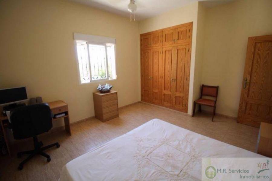 Albatera,Alicante,España,4 Bedrooms Bedrooms,2 BathroomsBathrooms,Finca rustica,3821