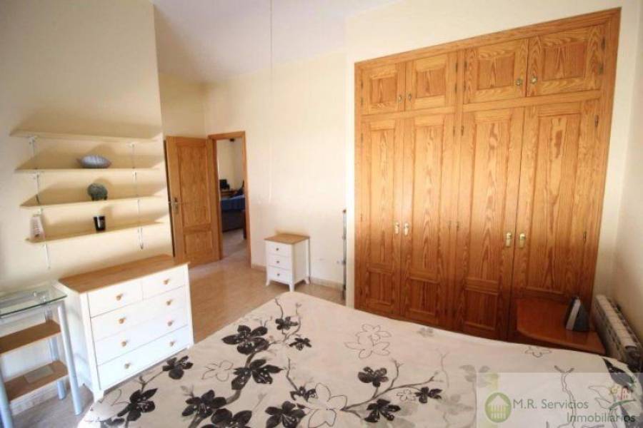 Albatera,Alicante,España,4 Bedrooms Bedrooms,2 BathroomsBathrooms,Finca rustica,3821