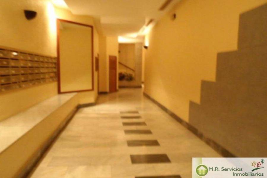 Torrevieja,Alicante,España,3 Bedrooms Bedrooms,1 BañoBathrooms,Pisos,3824