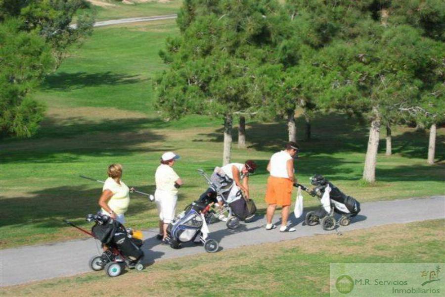 Rojales,Alicante,España,3 Bedrooms Bedrooms,2 BathroomsBathrooms,Fincas-Villas,3834