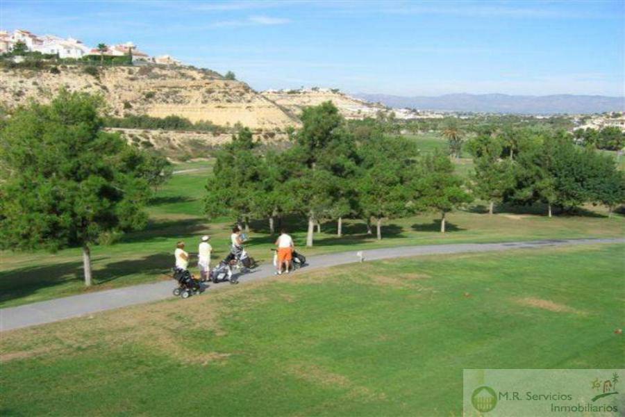 Rojales,Alicante,España,3 Bedrooms Bedrooms,2 BathroomsBathrooms,Fincas-Villas,3834