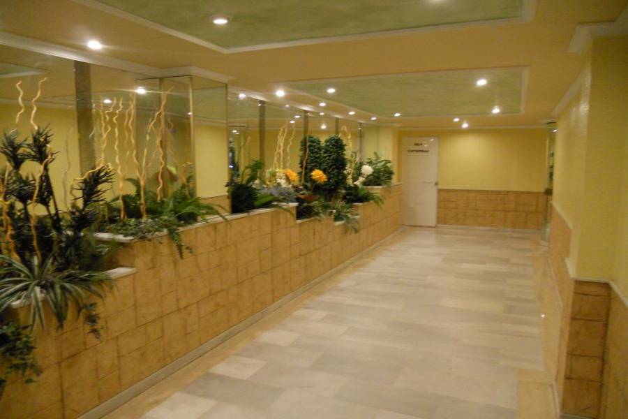 Torrevieja,Alicante,España,2 Bedrooms Bedrooms,1 BañoBathrooms,Apartamentos,33927