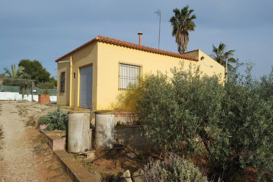 Elche,Alicante,España,4 Bedrooms Bedrooms,1 BañoBathrooms,Lotes-Terrenos,33957