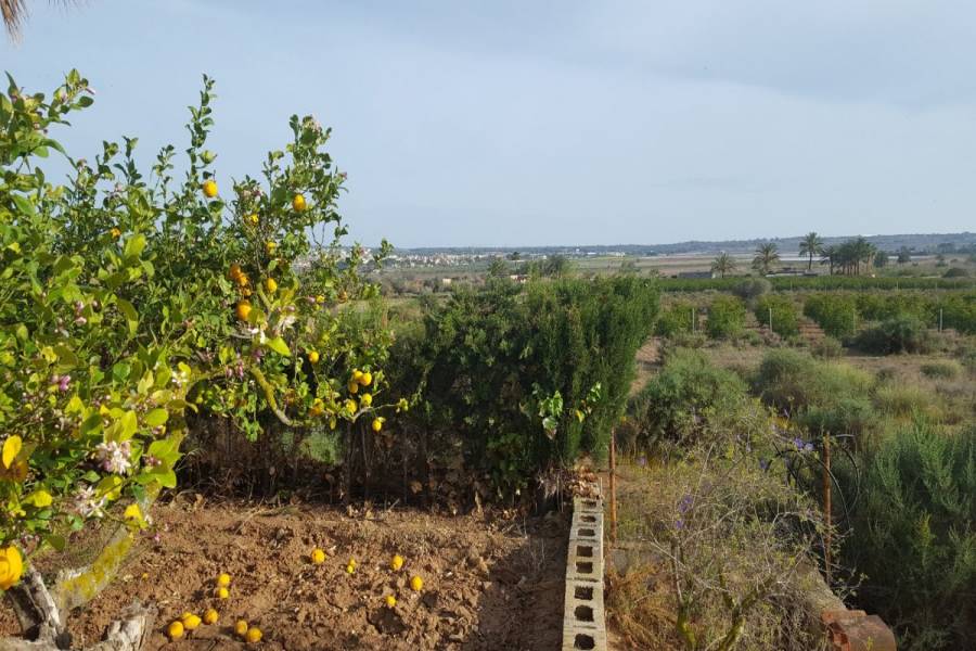 Elche,Alicante,España,4 Bedrooms Bedrooms,1 BañoBathrooms,Lotes-Terrenos,33957