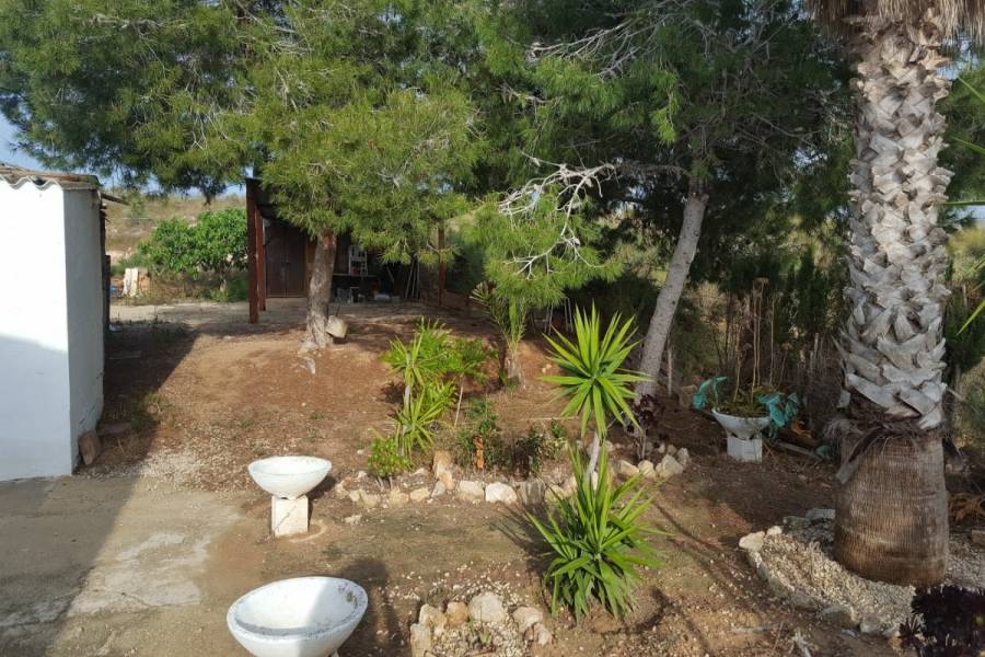 Elche,Alicante,España,4 Bedrooms Bedrooms,1 BañoBathrooms,Lotes-Terrenos,33957