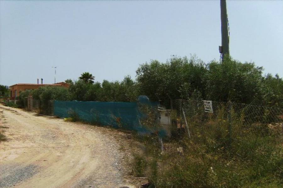 Elche,Alicante,España,4 Bedrooms Bedrooms,1 BañoBathrooms,Lotes-Terrenos,33957