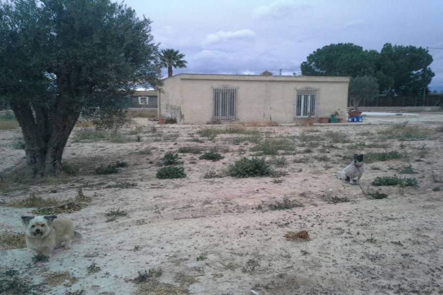 Elche,Alicante,España,3 Bedrooms Bedrooms,1 BañoBathrooms,Casas,33965